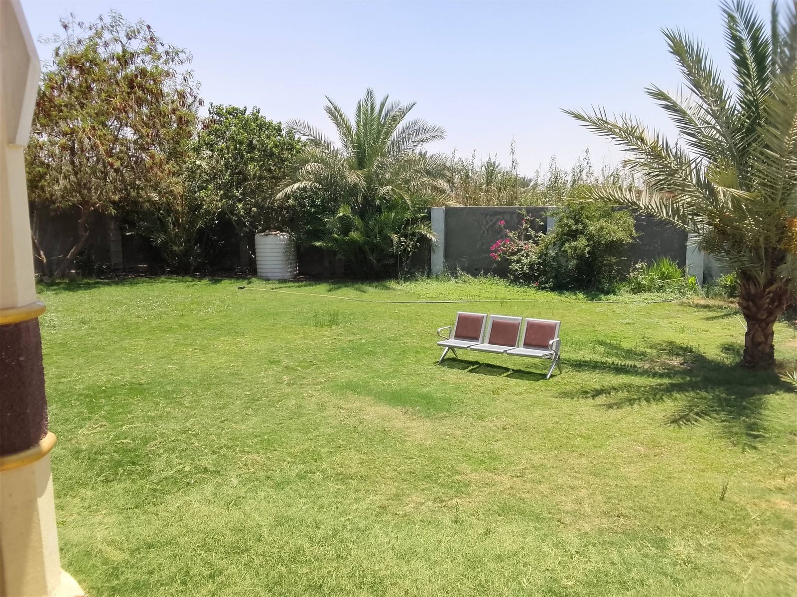 صورة 2